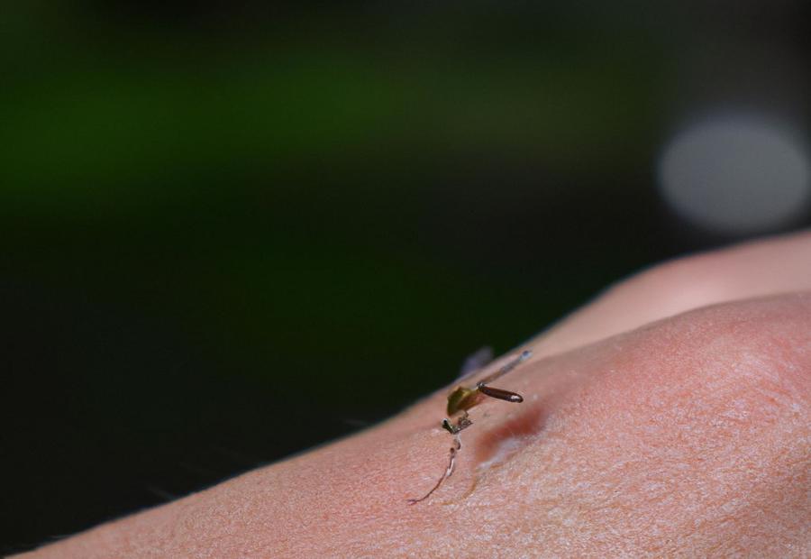 Identifying Mosquitoes - Are Mosquitoes Out Now 