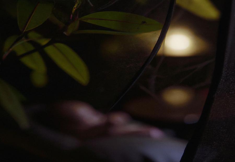 Alternative Ways to Protect Against Mosquitoes During Pregnancy - Can I Use Mosquito Repellent When Pregnant