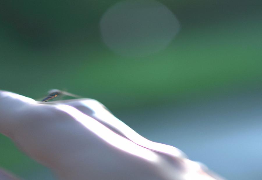 How to Prevent Mosquito Bites - Can Mosquitoes Smell Blood 