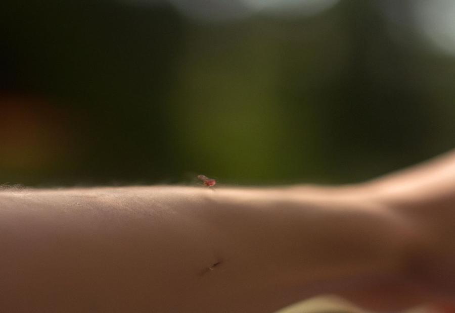In What Situations Should You Be Concerned about Mosquito Bites? - Should I Scratch Mosquito Bites