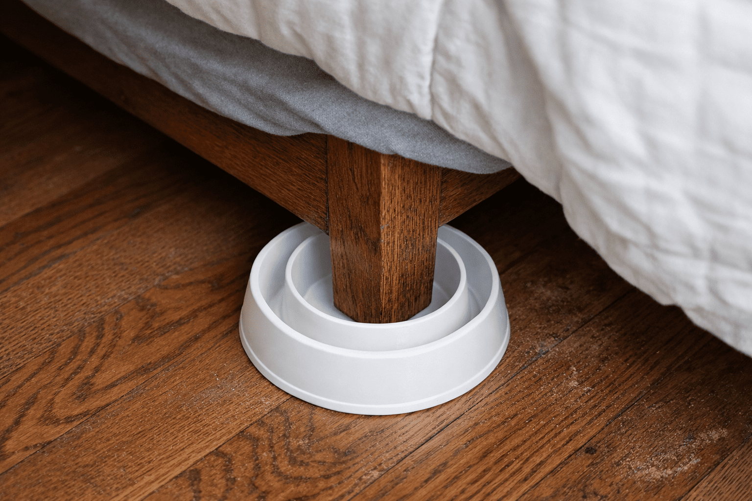 Bed bug interceptor trap positioned under bed leg on bedroom floor for detection