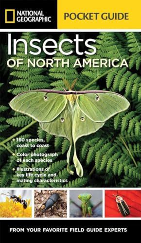 National Geographic Pocket Guide to Insects of North America: From Your Favorite Field Guide Experts