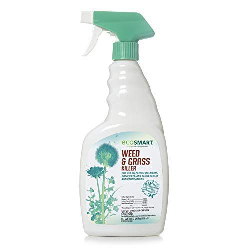 EcoSmart Natural, Glyphosate-Free Weed and Grass Killer Ready-to-Use Spray Formula for Lawns, Patios, Driveways and Pavers, 24 Ounce Bottle