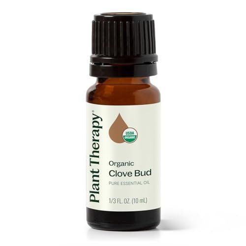 Plant Therapy Organic Clove Bud Essential Oil, 10 mL (1/3 oz), 100% Pure and Undiluted, USDA Certified Organic, Fresh and Spicy Scent, Great for Aromatherapy