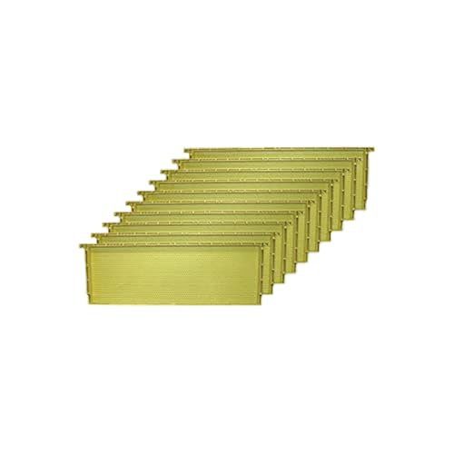 Mann Lake Premium Beekeeping Frames, All-In-One Frame & Foundation, Beeswax Coating, Universal Fit, BPA & BPS Free, 6 1/4 Inches, Natural, 10-Pack
