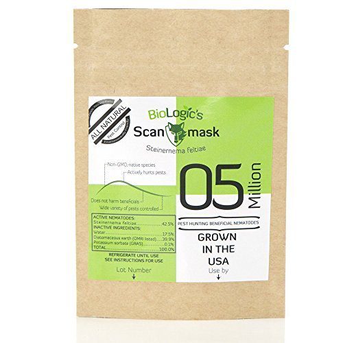 BioLogic's Scanmask Steinernema Feltiae (Sf) Beneficial Nematodes for Natural Insect Pest Control, 5 Million Size