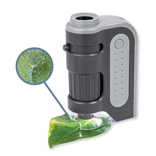 Carson MicroBrite Plus 60x-120x Accurate LED Lighted Pocket Microscope, Portable Educational STEM Toy, Mini Handheld Microscope for Student Science Lab (MM-300) , Grey