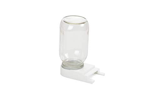 Little Giant® Beehive Entrance Feeder | Glass Jar for Syrup or Sugar Water | Bee Feeder for Beekeeping | Honey Bee Feeder Jar | Made in USA | 1 Quart