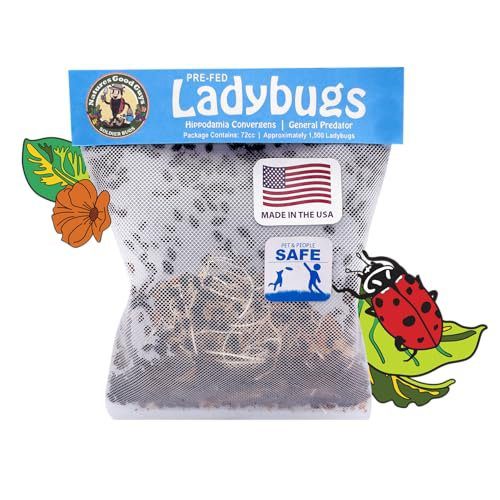 Natures Good Guys 1500 Live Ladybugs - Good Bugs- Ladybugs - Guaranteed Live Delivery!