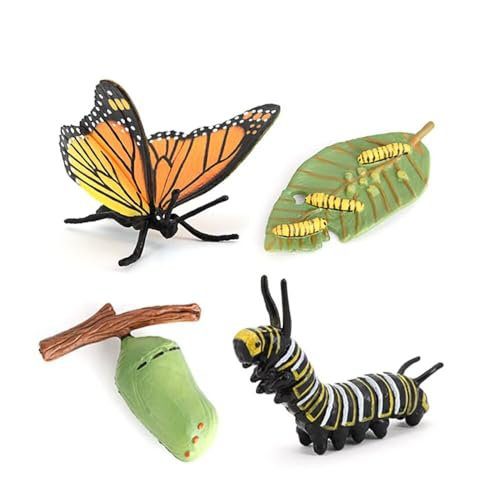 Butterfly Growth Cycle, Animal Growth Cycle Biological Model, Growth Stage Lifelike Butterfly Life Cycle Model Set for Kids Education Insect Themed Party Favors
