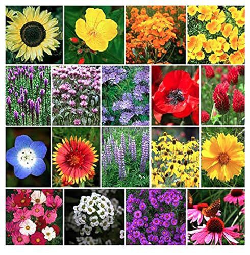 Pollinator Attracting Wildflower Seeds - Attracts Bees, Butterflies, and Other Beneficial Insects, Bees Knees Mix