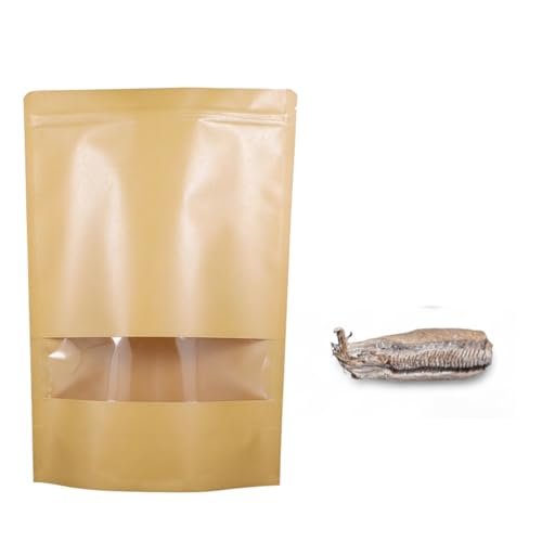 Carolina Praying Mantis Egg Case with Hatching Habitat Bag –Includes 50-200 Nymphs | Perfect for STEM Education, Eco-Friendly Garden & Fun Pet Observation (1, Carolina Praying Mantis)
