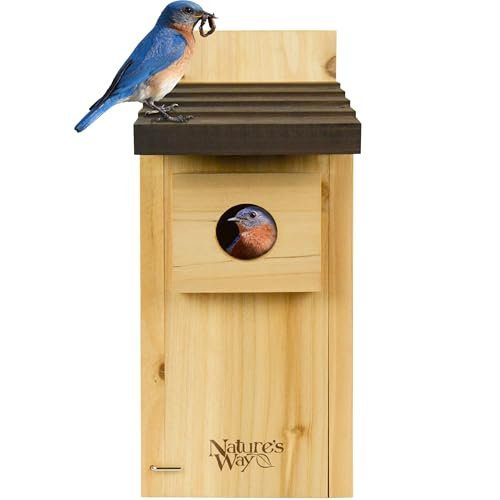 Nature’s Way Cedar Bluebird House for Outdoor Nesting, Predator Guard, Ventilated Design & Easy Access Clean-Out Panel, Natural Wood