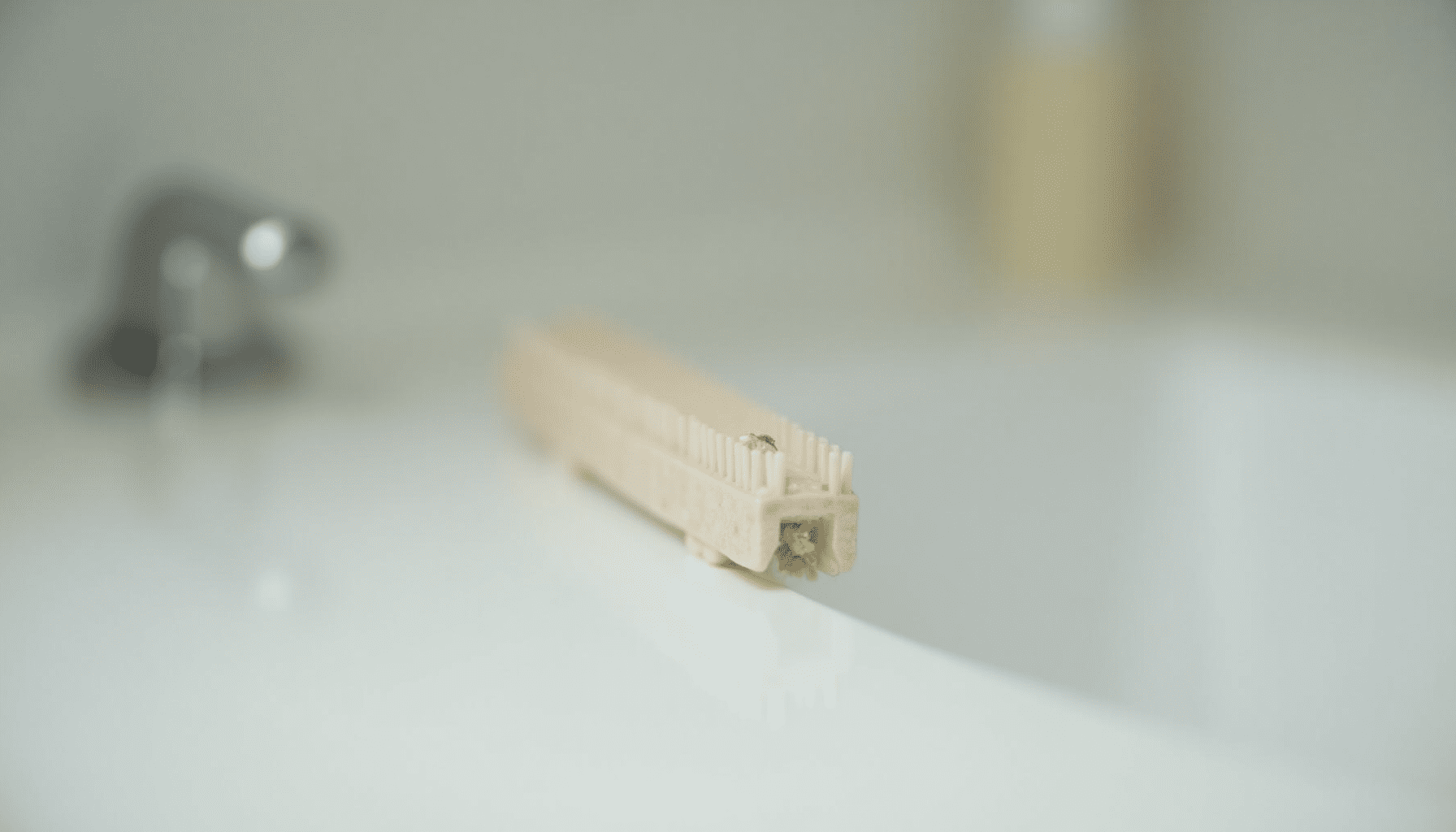 A fine-tooth nit comb with a few nits, illustrating the need for effective lice prevention sprays.
