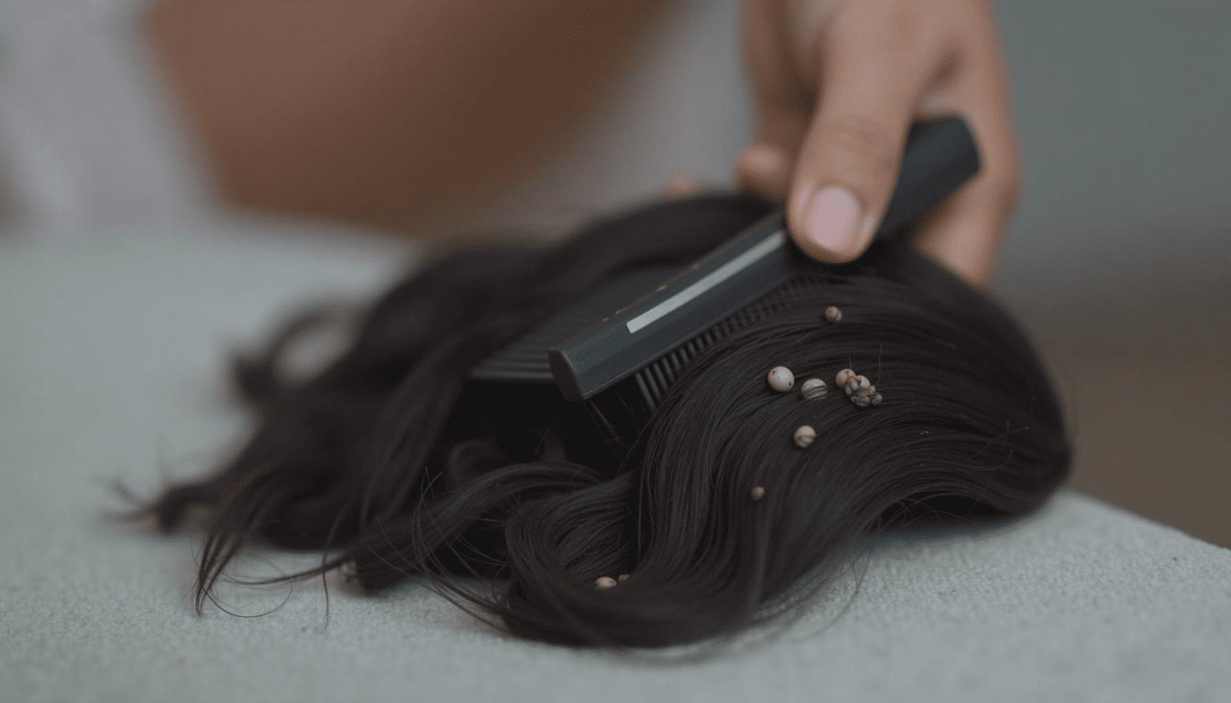Close-up of a nit comb removing tiny white nits from dark human hair, illustrating signs of head lice.
