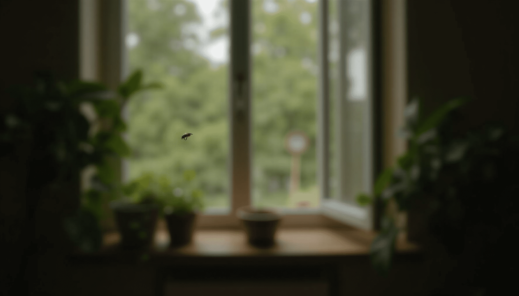 Living room with an open window and a bee, illustrating indoor bee safety.