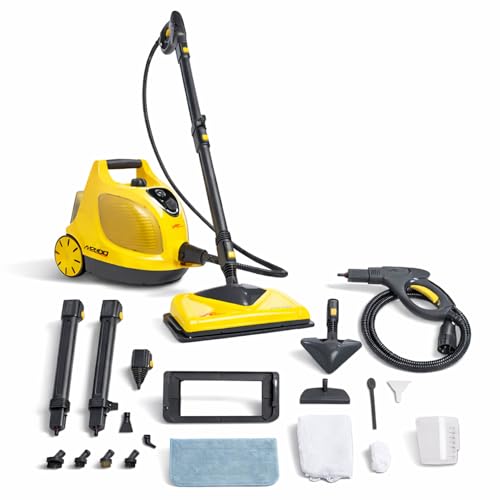 Professional-grade stainless boiler steam cleaner with adjustable output
