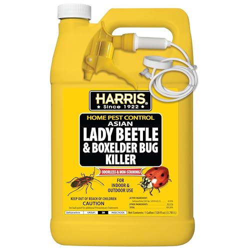 Ready-to-use exterior killer for boxelder bugs and Asian lady beetles on sunny walls