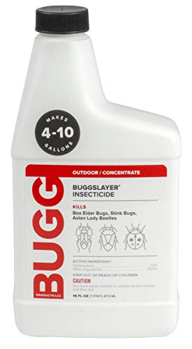 Outdoor boxelder bug control concentrate for large exterior wall barriers
