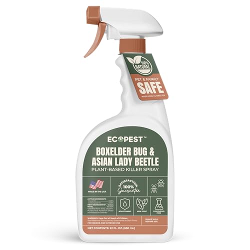 Plant-based boxelder bug and Asian lady beetle spray for indoor stragglers