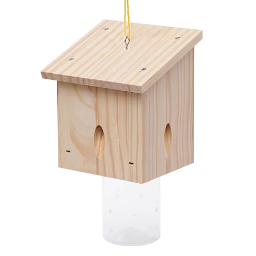 Wooden pentroof carpenter bee trap with removable jar vault hanging under an overhang