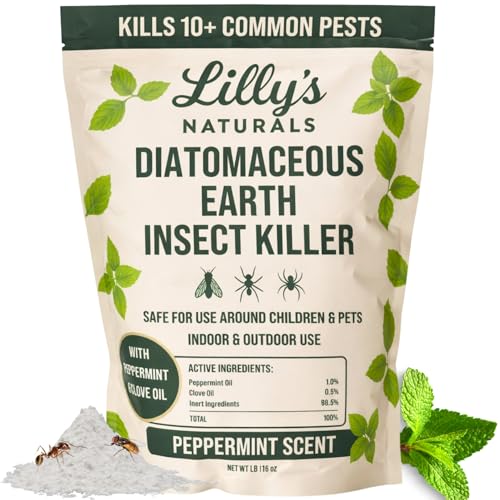 Food-grade diatomaceous earth powder dusted into a carpet edge crack