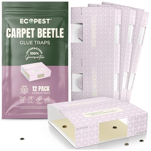 Sticky carpet beetle glue board monitor placed in a closet corner