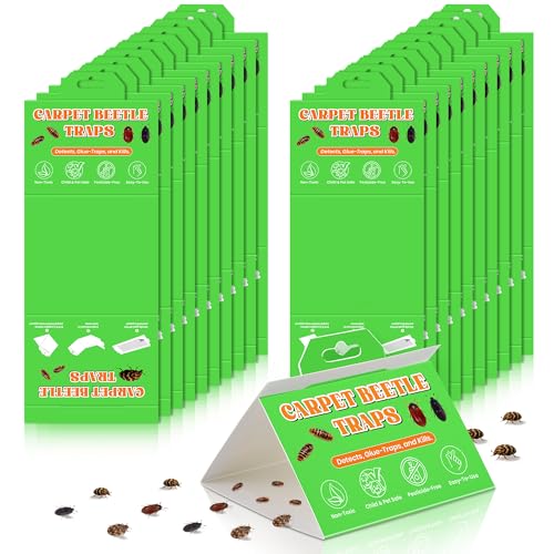 Twenty pack of indoor sticky glue traps for monitoring carpet beetles