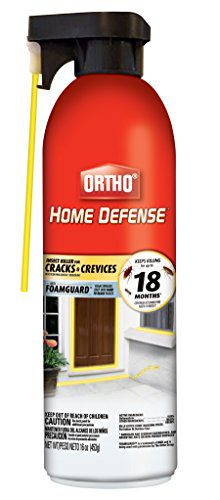 Crack and crevice insect killer spray treating a gap where invaders enter