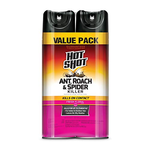 Twin pack indoor insect killer spray for spot-treating crickets along basement and kitchen baseboards