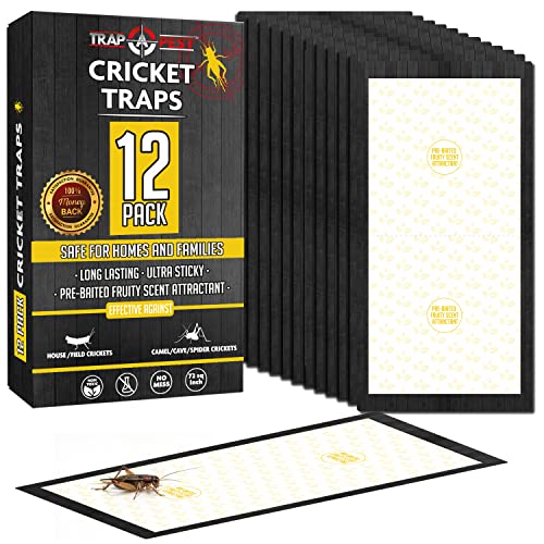 Twelve-pack of pre-baited extra-large sticky cricket traps for a whole home