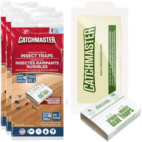 Pesticide-free glue traps to catch and monitor earwigs along baseboards