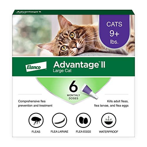 Vet-recommended monthly topical flea treatment for large cats over nine pounds