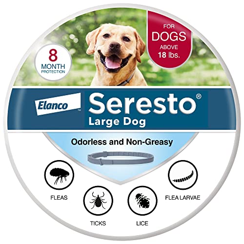 Eight-month flea and tick collar for dogs over 18 pounds