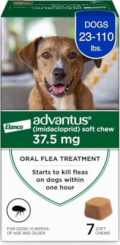 Fast-acting oral flea chew for dogs that starts killing fleas within an hour