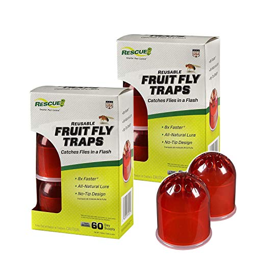 Refillable indoor fruit fly trap with non-toxic liquid attractant