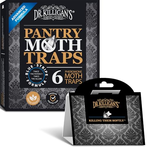 Pantry moth pheromone trap card for Indian meal moths in a kitchen cupboard