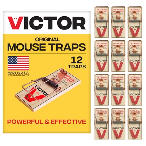 Classic wooden snap mouse traps with metal pedal set along a baseboard