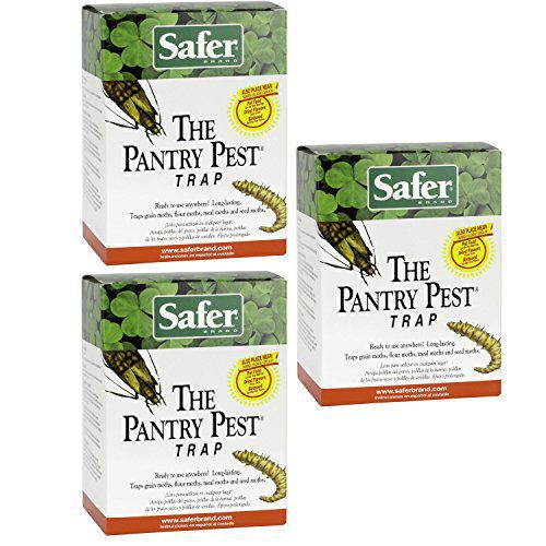 Pantry moth trap with long-lasting pheromone lure for grain flour and seed moths