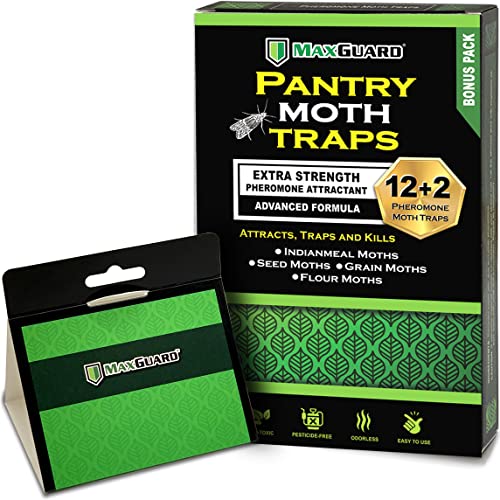 Multipack of non-toxic pantry moth sticky traps with extra-strength pheromone lure for a kitchen