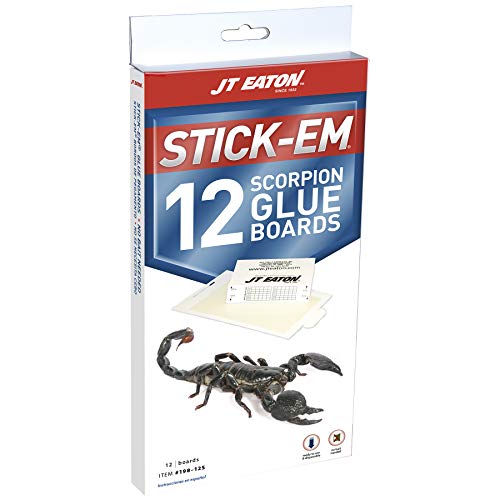 Twelve-pack of peel-and-place scorpion glue traps for whole-home monitoring