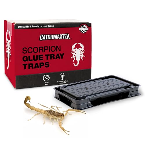 Adhesive scorpion glue tray traps placed along a wall to catch scorpions