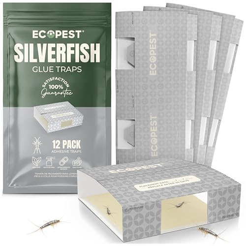 Sticky glue monitor trap for silverfish placed against a baseboard