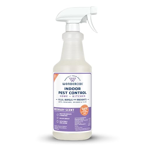 Plant-based indoor pest control spray for spiders and the insects that attract them