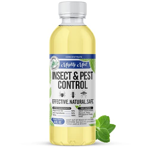 Peppermint oil insect repellent concentrate for mixing multiple spray bottles