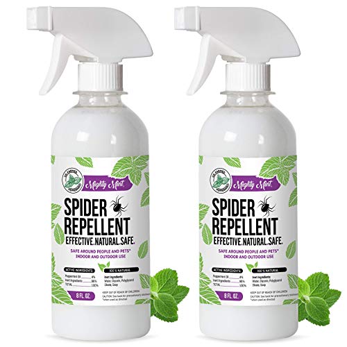 Ready-to-use peppermint oil spider repellent spray for home doorways and corners