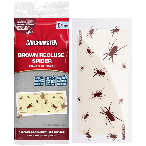 Large glue boards sized for brown recluse runways in a dark low corner