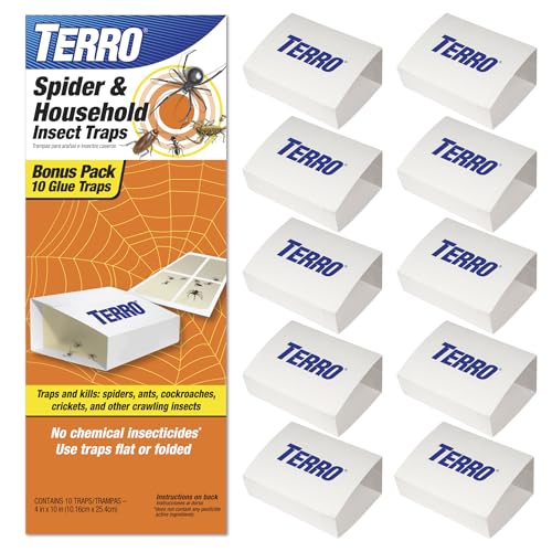 Brand-name sticky spider traps that fold into a concealed box for discreet placement