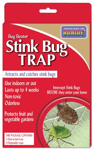 Indoor stink bug trap with attractant for catching wandering adults without crushing
