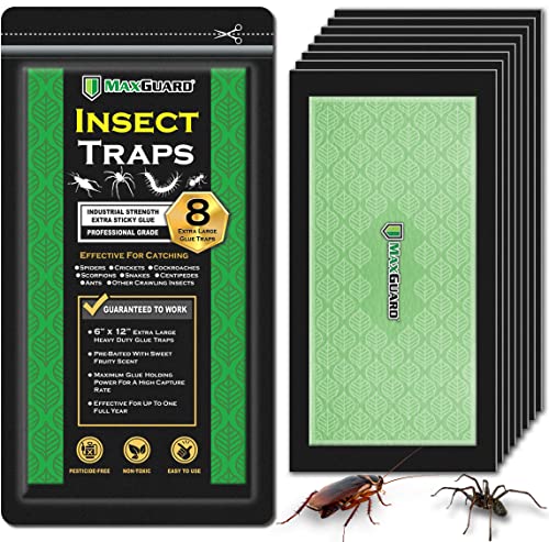 Large non-toxic glue traps placed along baseboards to catch crawling fall invaders